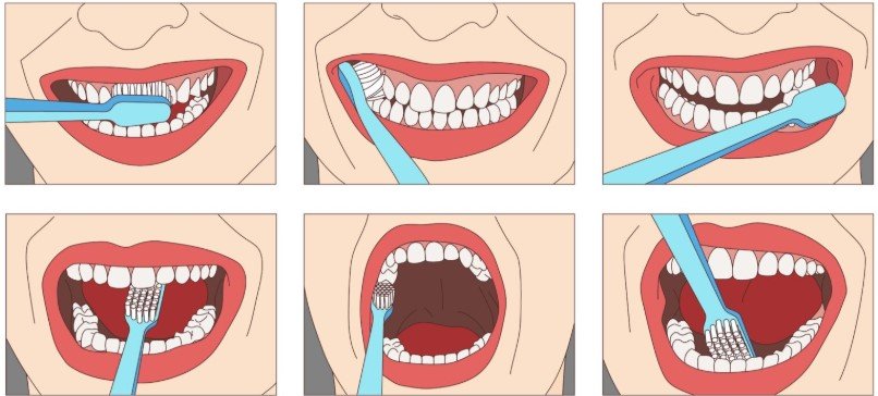 Right Brushing Techniques